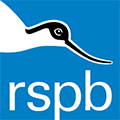 RSPB Northern Ireland logo