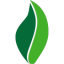 Greenshaw Learning Trust logo